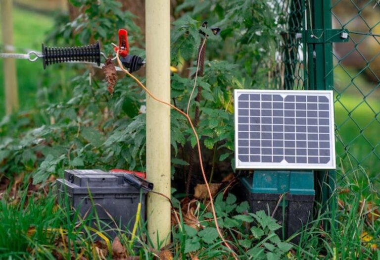 Can I Connect Solar Panel Directly to RV Battery? Expert Guide