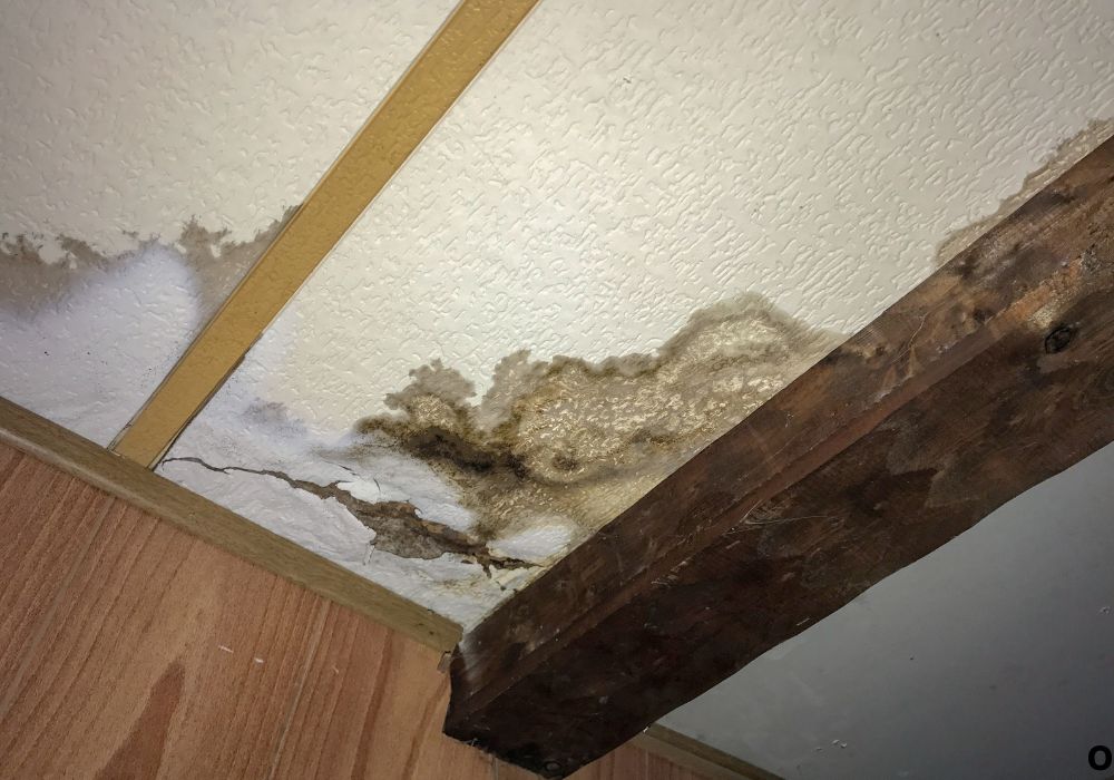What Causes Water Damage in RV Walls