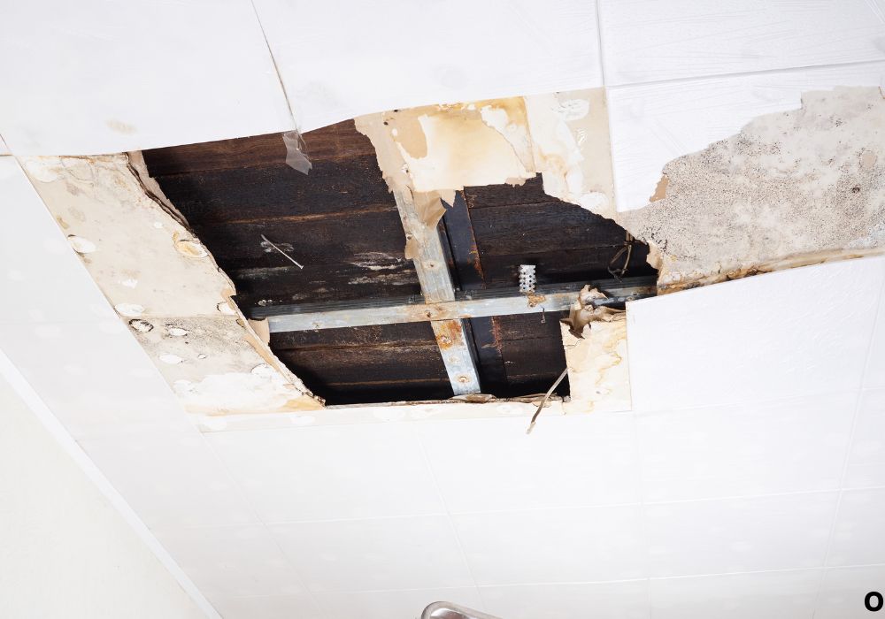 Step 1: Identify and Stop the Source of the Leak